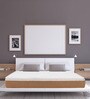 Premium Plus 7 inch Pocketed Spring Queen Size Mattress