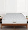 Ortho Pocket Zero Partner Disturbance Zoned Support 8 Inch Spring Mattress In Single Size