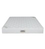 Ortho Pocket Zero Partner Disturbance Zoned Support 8 Inch Spring Mattress In Single Size