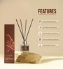 Premium Reed Diffuser Cinnamon 60 ML with 4 Fiber Reed Sticks