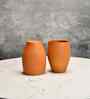 Premium Set of 2 Unglazed Terracotta Glasses