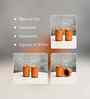 Premium Set of 2 Unglazed Terracotta tumbler