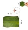 Green Premium Table Mats Set of 4 & Coasters Set of 4