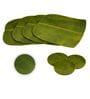 Green Premium Table Mats Set of 4 & Coasters Set of 4