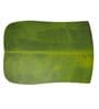Green Premium Table Mats Set of 4 & Coasters Set of 4