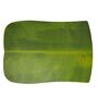 Green Premium Table Mats Set of 6 & Coasters Set of 6