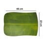 Green Premium Table Mats Set of 6