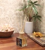 Scents Of The Sea Reed Diffuser Bottle With 10 Rattan Reed Sticks