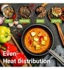 Preseasoned Cast Iron 24 cm  Non Toxic and Coating Free FryPan