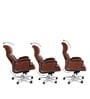 Presidency Executive Chair in Brown Colour