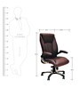 President Leatherette Executive Chair in Brown Colour