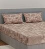 Brown Abstract 144 TC Cotton Double Size Bedsheet With 2 Pillow Covers