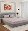 Purple Vertical Floral 144 TC Cotton Double Size Bedsheet With 2 Pillow Covers