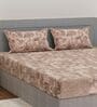 Brown Ptachwork 144 TC Cotton Fitted King Sized Bedsheet With 2 Pillow Covers