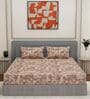 Brown Ptachwork 144 TC Cotton Fitted King Sized Bedsheet With 2 Pillow Covers