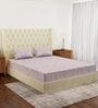 Purple Vertical Floral 144 TC Cotton Fitted King Sized Bedsheet With 2 Pillow Covers