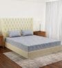 Blue Vertical Floral 144 TC Cotton Fitted King Sized Bedsheet With 2 Pillow Covers