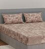 Brown Abstract 144 TC Cotton King Sized Bedsheet With 2 Pillow Covers