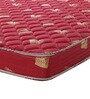 Prima 5 inch Coir Queen Size Mattress (with 2 Free Pillows)