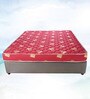Prima 5 inch Coir Queen Size Mattress (with 2 Free Pillows)