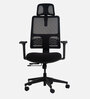 Legacy Ergonomic Chair in Black Colour