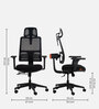 Legacy Ergonomic Chair in Black Colour