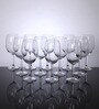 Primetime 338ml (Set of 12) Wine Glass