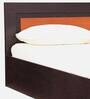 Primus King Size Bed in Wenge Finish with Box Storage