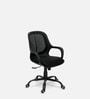 Prince Ergonomic Chair in Black Colour