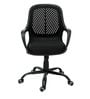 Prince Ergonomic Chair in Black Colour