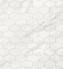 Print Collection Cotton 200TC Double Bedsheet With 2 Pillow Covers