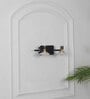 Prive 2 Light Flush Wall Picture Light In Black, Brass & Frosted White Finish