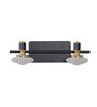 Prive 2 Light Flush Wall Picture Light In Black, Brass & Frosted White Finish