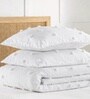 Privee Ac Comforter And Pillow Shams