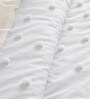 Privee Winter Comforter And Pillow Shams