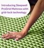 Pro Grid 6 Inches Resitec Foam Queen Size Mattress