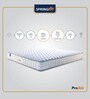 ProActiv Flip 5 Inches Queen Size HR Foam Mattress
