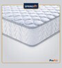 ProActiv Flip 5 Inches Single Size HR Foam Mattress