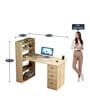 Professor Office Table in Intel Beige Finish
