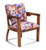 Projakto Arm Chair (Set Of 2) In Multi Colour