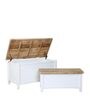 Caistor Sheesham Wood Linen Trunk in White Finish (Set of 2)