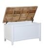 Caistor Sheesham Wood Linen Trunk in White Finish (Set of 2)