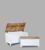 Caistor Sheesham Wood Linen Trunk in White Finish (Set of 2)