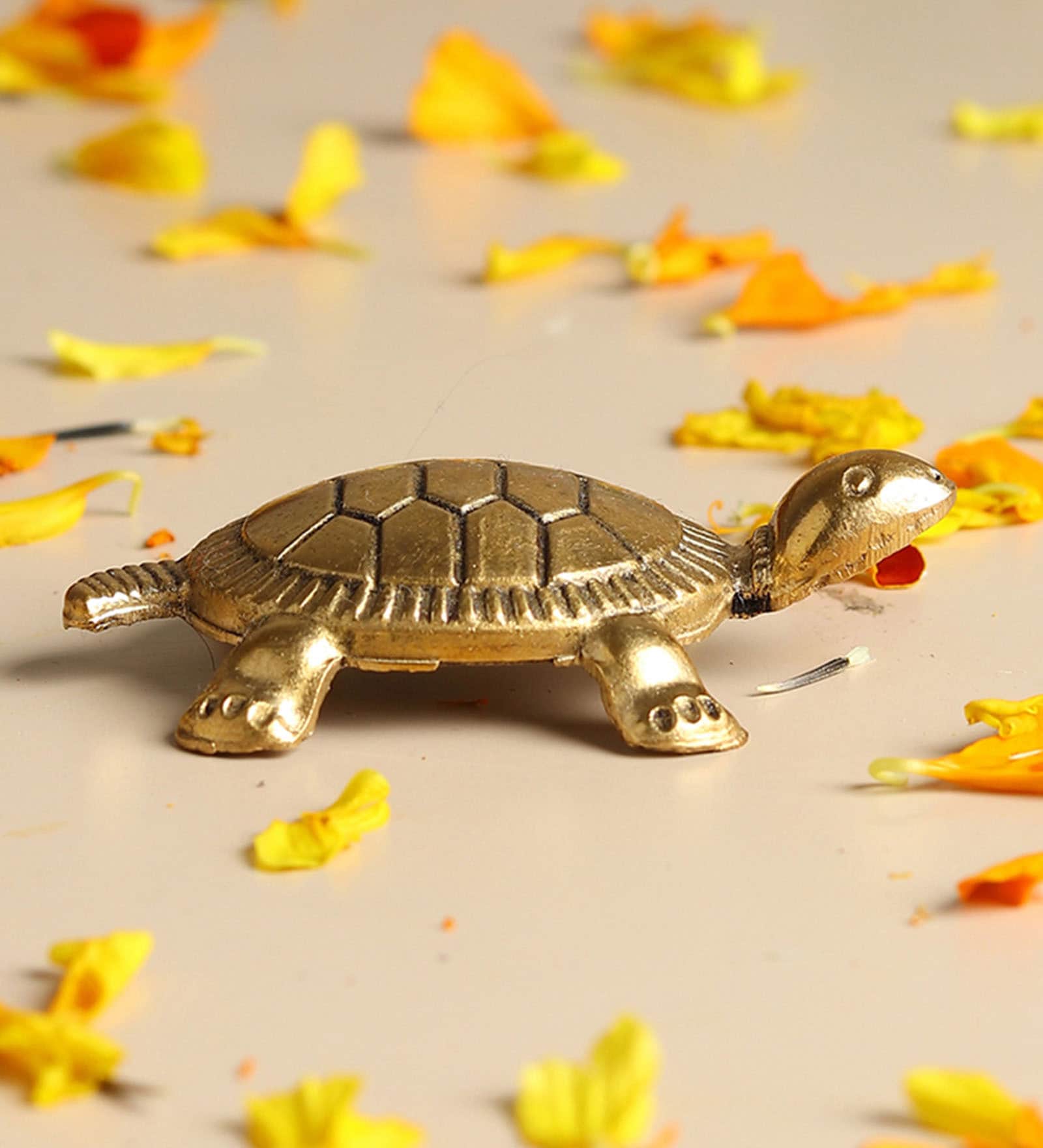 Golden Pure Brass Feng Shui Tortoise for Wealth & Prosperity