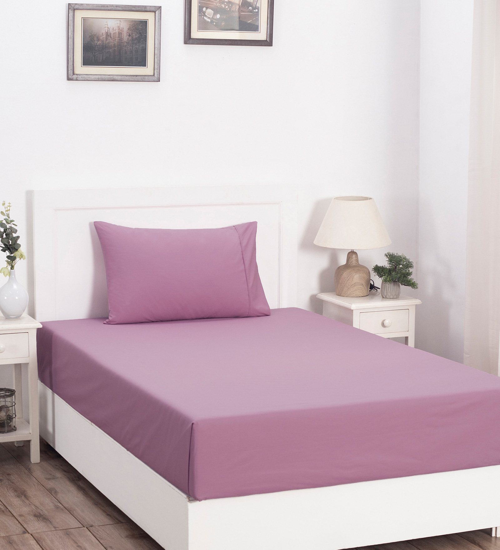 Purple Solid 200 TC Cotton Single Bedsheet With 1 Pillow Cover
