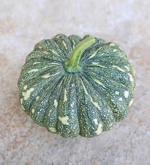 Pumpkin Kaddu Vegetable Winter Squash Pack Of 20 Seeds By Wonderland