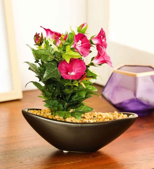 Purple Pvc Morning Glory Artificial Bonsai With Brown Ceramic Pot
