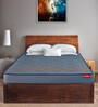 Pulse Foam & Memory Foam 6 inch Queen Size Mattress