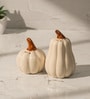 Set of 2  Pump & Plume Handcrafted Ceramic Salt & Pepper