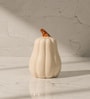 Set of 2  Pump & Plume Handcrafted Ceramic Salt & Pepper